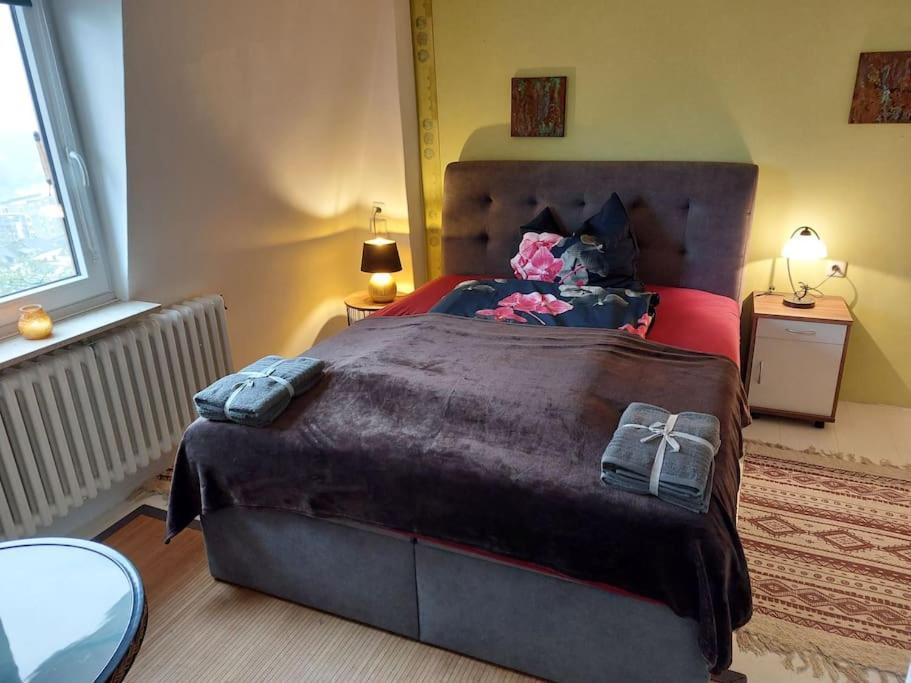 Casa Marieanne City Haus, Gratisparken, Traumblick Trier Kültér fotó